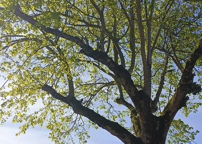 Appartamento L'oustal Montech